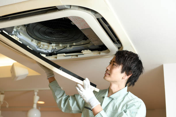 Best Home Air Vent Cleaning  in Lakeview, GA